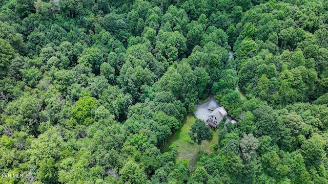 408 Eagle Ridge Rd, Roan Mountain, TN 37687 - photo 42