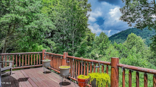 408 Eagle Ridge Rd, Roan Mountain, TN 37687 - photo 36