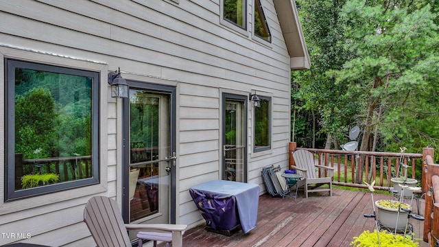 408 Eagle Ridge Rd, Roan Mountain, TN 37687 - photo 37