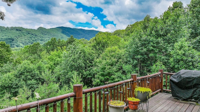 408 Eagle Ridge Rd, Roan Mountain, TN 37687 - photo 38