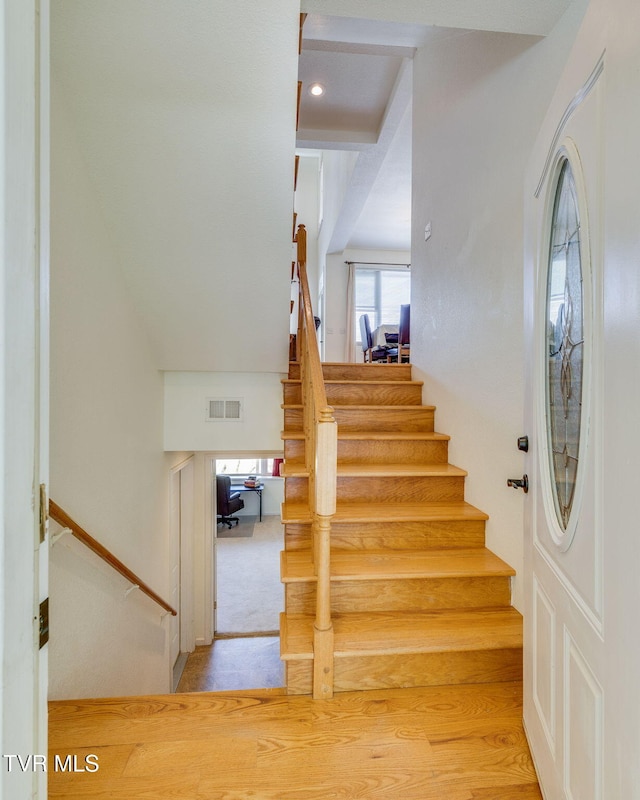 1196 Buck Mountain Rd, Roan Mountain, TN 37687 - photo 5