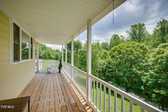 1196 Buck Mountain Rd, Roan Mountain, TN 37687 - photo 39