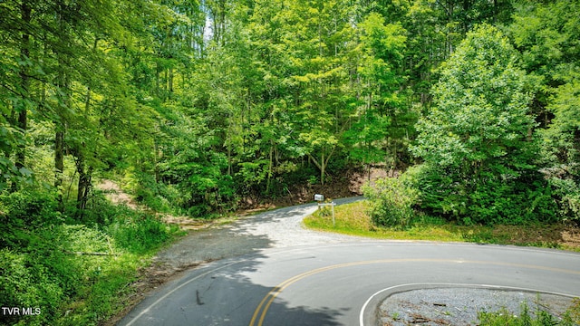 1196 Buck Mountain Rd, Roan Mountain, TN 37687 - photo 48