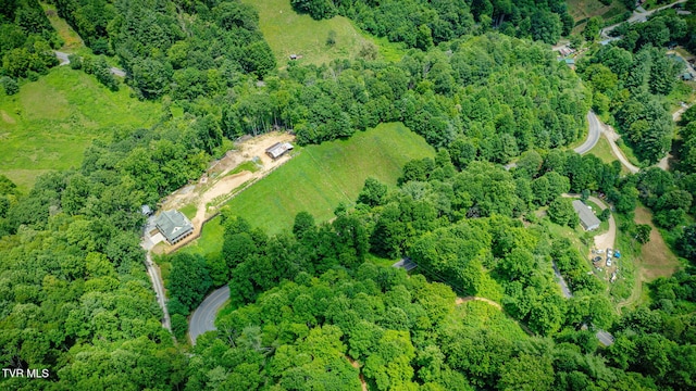 1196 Buck Mountain Rd, Roan Mountain, TN 37687 - photo 49