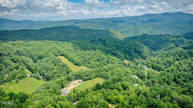 1196 Buck Mountain Rd, Roan Mountain, TN 37687 - photo 50
