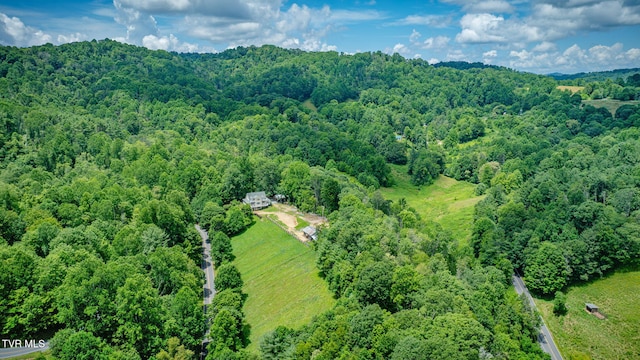 1196 Buck Mountain Rd, Roan Mountain, TN 37687 - photo 51