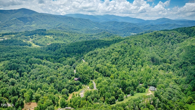1196 Buck Mountain Rd, Roan Mountain, TN 37687 - photo 52