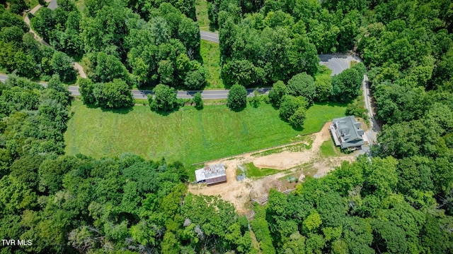1196 Buck Mountain Rd, Roan Mountain, TN 37687 - photo 53