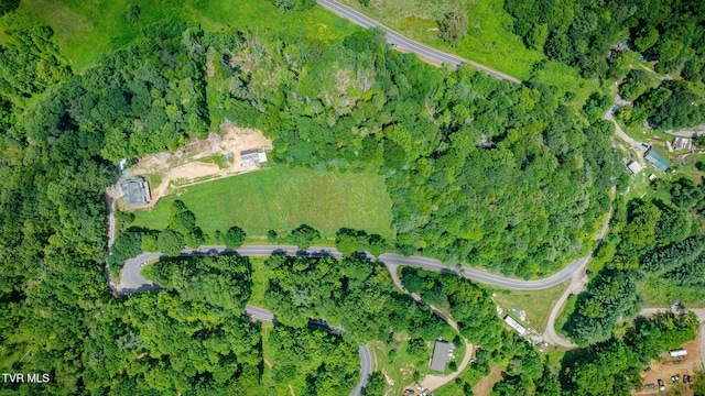 1196 Buck Mountain Rd, Roan Mountain, TN 37687 - photo 54