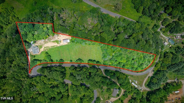 1196 Buck Mountain Rd, Roan Mountain, TN 37687 - photo 55