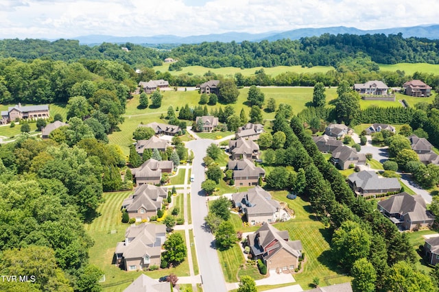 2399 Crescent Lake Pl, Johnson City, TN 37615 - photo 12