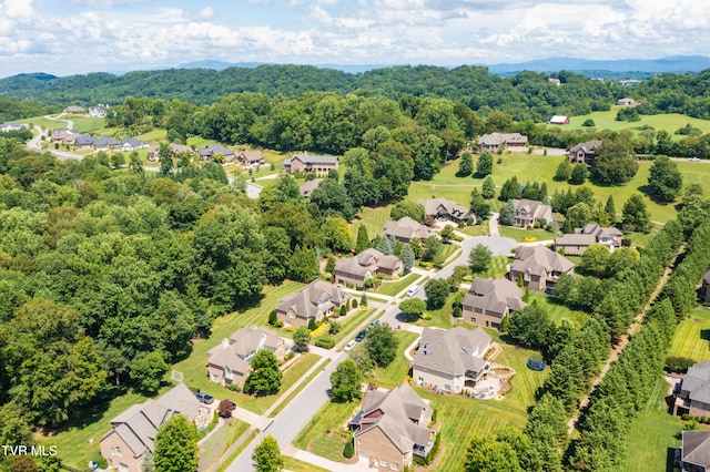 2399 Crescent Lake Pl, Johnson City, TN 37615 - photo 13