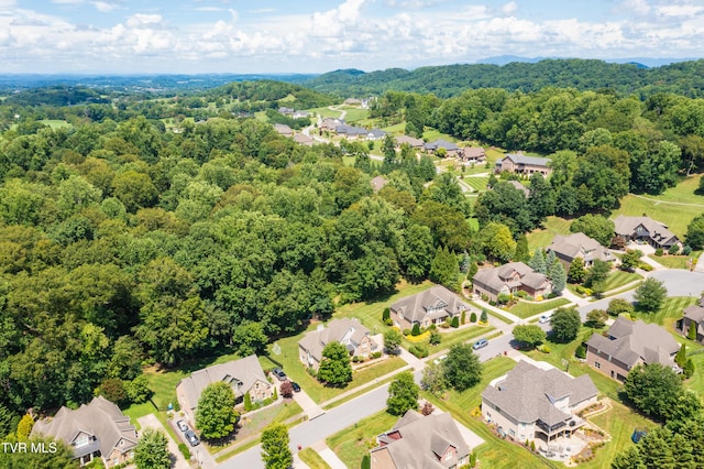 2399 Crescent Lake Pl, Johnson City, TN 37615 - photo 14