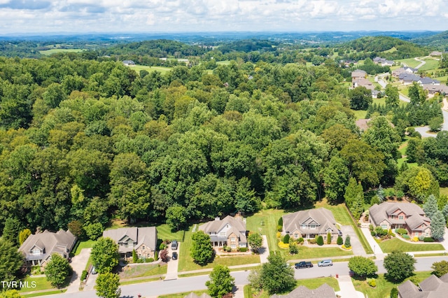 2399 Crescent Lake Pl, Johnson City, TN 37615 - photo 15