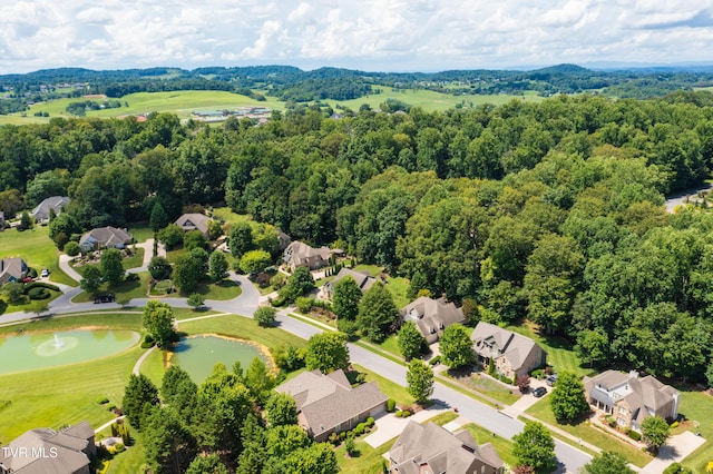 2399 Crescent Lake Pl, Johnson City, TN 37615 - photo 16