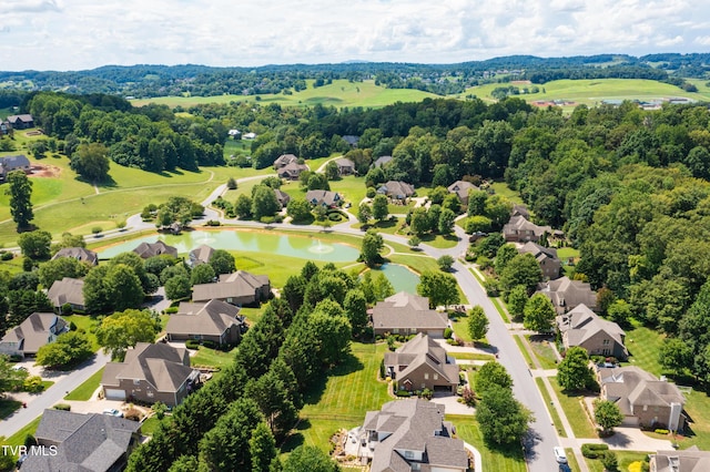 2399 Crescent Lake Pl, Johnson City, TN 37615 - photo 17