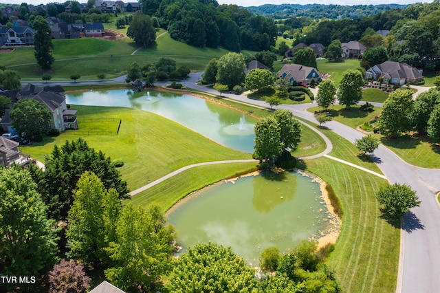 2399 Crescent Lake Pl, Johnson City, TN 37615 - photo 64