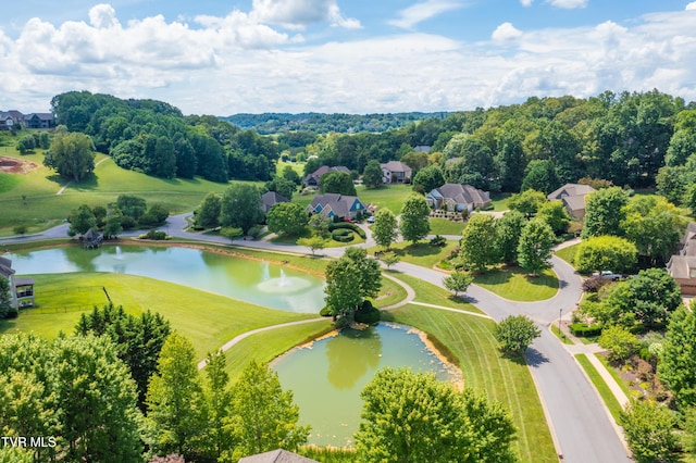 2399 Crescent Lake Pl, Johnson City, TN 37615 - photo 61