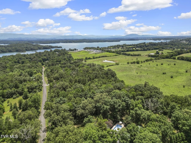 2169 Ranch Rd, Dandridge, TN 37725 - drone / aerial view of a large body of water and a heavily wooded area