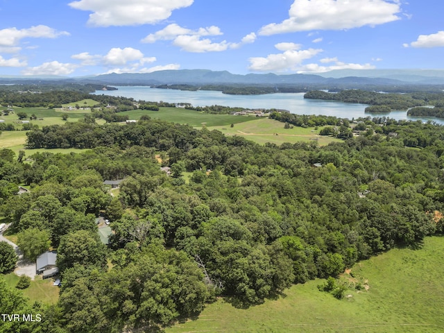 2169 Ranch Rd, Dandridge, TN 37725 - drone / aerial view of a water and mountain view