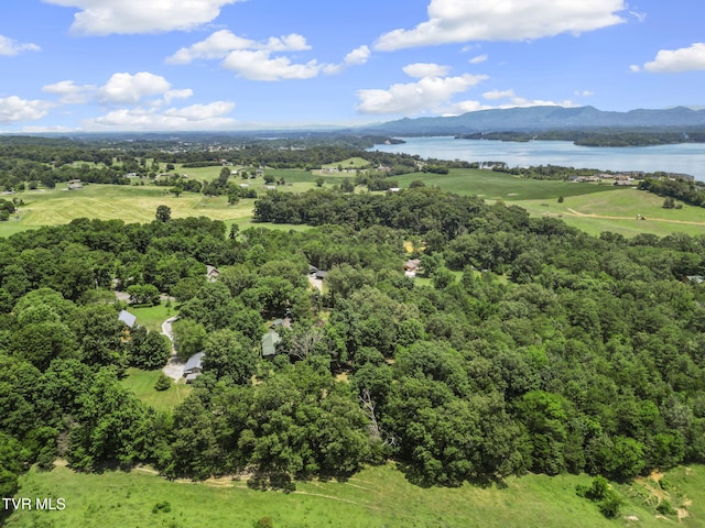 2169 Ranch Rd, Dandridge, TN 37725 - drone / aerial view of a water and mountain view
