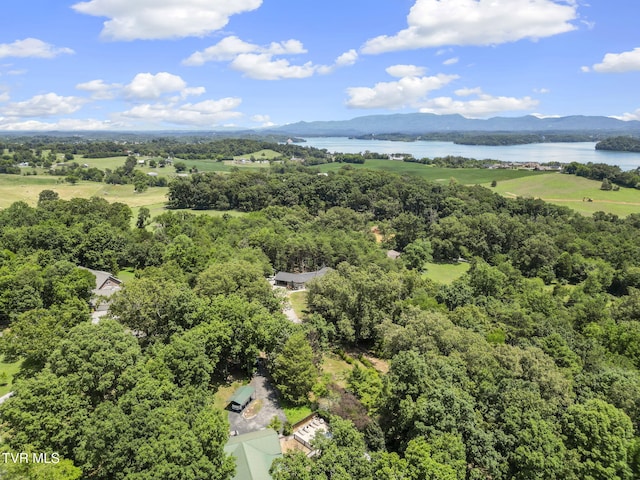 2169 Ranch Rd, Dandridge, TN 37725 - drone / aerial view of a water and mountain view and a heavily wooded area
