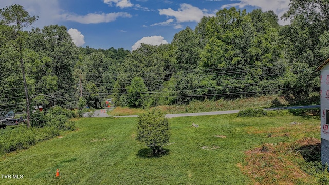 278 Long Hollow Rd, Elizabethton, TN 37643 - photo 6