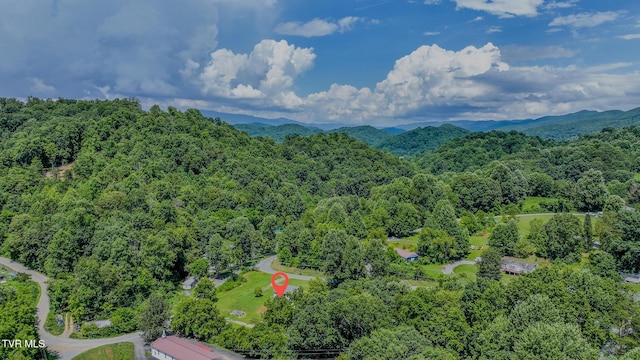 278 Long Hollow Rd, Elizabethton, TN 37643 - photo 2