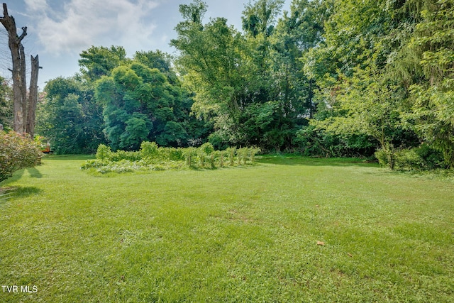 700 W Riverside Dr, Elizabethton, TN 37643 - photo 33