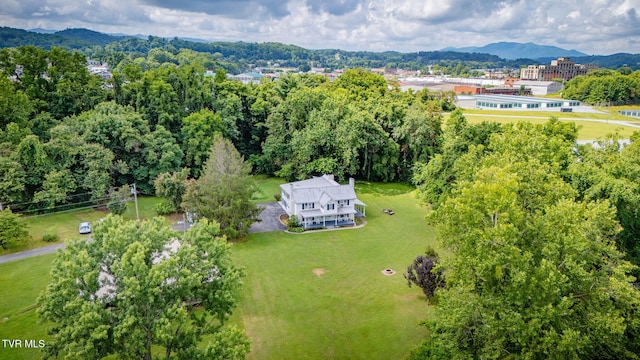 700 W Riverside Dr, Elizabethton, TN 37643 - photo 35