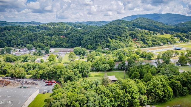 700 W Riverside Dr, Elizabethton, TN 37643 - photo 37