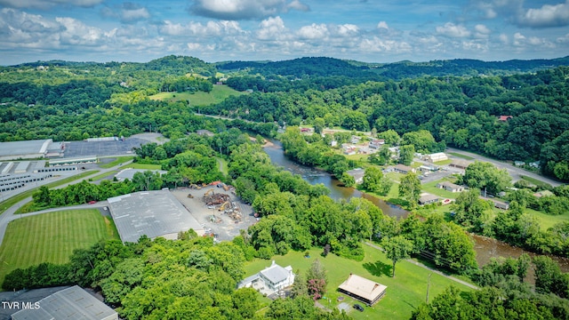 700 W Riverside Dr, Elizabethton, TN 37643 - photo 40