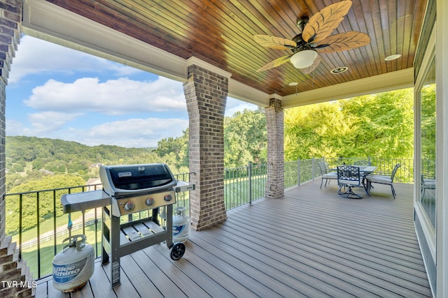 301 Sunset Ridge Ct, Johnson City, TN 37615 - photo 59