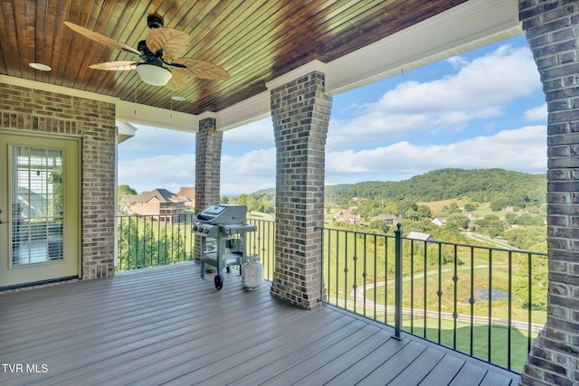 301 Sunset Ridge Ct, Johnson City, TN 37615 - photo 63