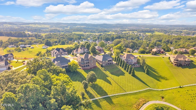 301 Sunset Ridge Ct, Johnson City, TN 37615 - photo 81