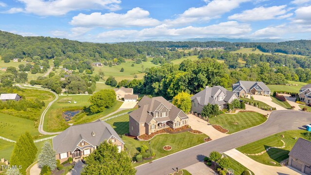 301 Sunset Ridge Ct, Johnson City, TN 37615 - photo 82