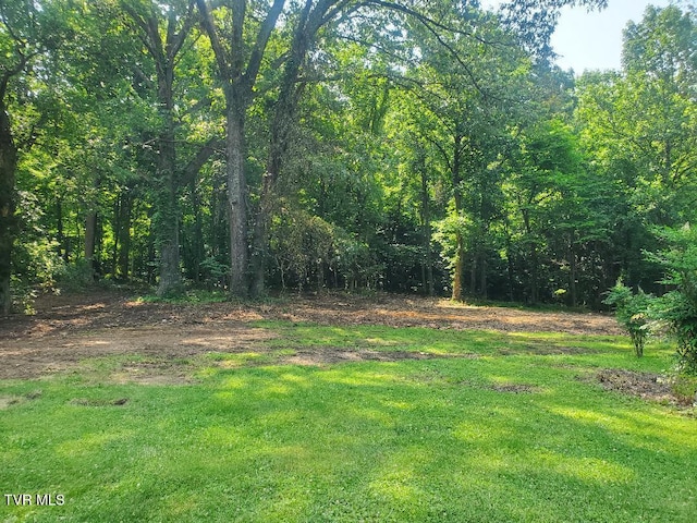 349 Spice Hollow Rd, Johnson City, TN 37604