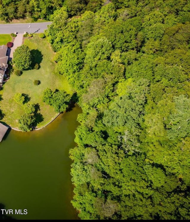 104 Pointe Dr, Piney Flats, TN 37686 - photo 1