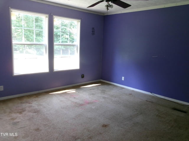 2035 Viking Mountain Rd, Greeneville, TN 37743 - photo 8