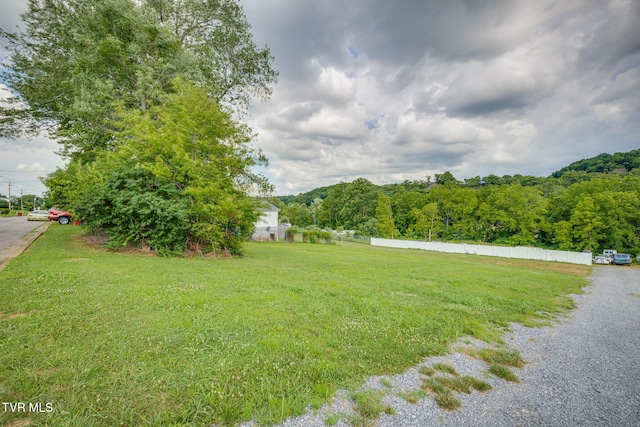 1700 E Millard St, Johnson City, TN 37601 - photo 4