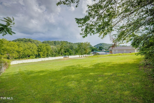 1700 E Millard St, Johnson City, TN 37601 - photo 5