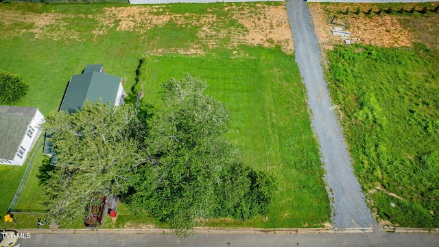 1700 E Millard St, Johnson City, TN 37601 - photo 2