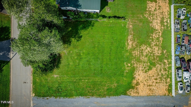 1700 E Millard St, Johnson City, TN 37601 - photo 13