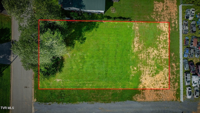 1700 E Millard St, Johnson City, TN 37601 - photo 3