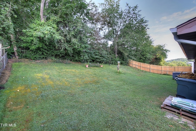 610 Bingham St, Elizabethton, TN 37643 - photo 19