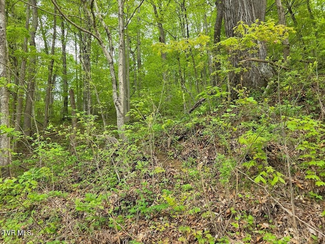 Tbd Garrison Hollow, Elizabethton, TN 37643