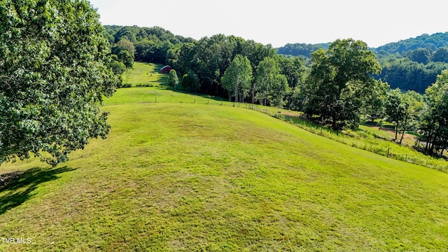 133 Hartmantown Rd, Jonesborough, TN 37659 - photo 67