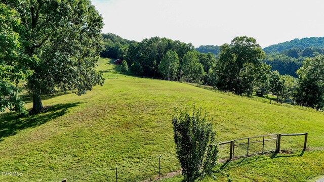 133 Hartmantown Rd, Jonesborough, TN 37659 - photo 66