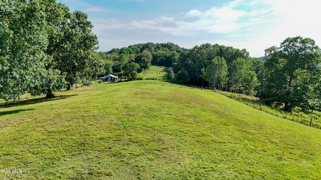 133 Hartmantown Rd, Jonesborough, TN 37659 - photo 65