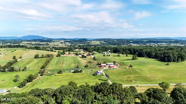 133 Hartmantown Rd, Jonesborough, TN 37659 - photo 79